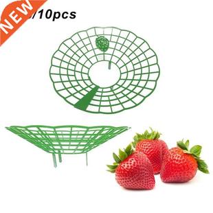 Holder Balcony Planting rawberry Fruit Frame Rack and