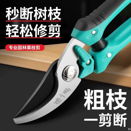 张小泉园艺剪刀修枝剪花艺专用剪
