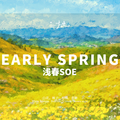 浅春SOE  中浅烘焙 水洗处理  Arabica  精品SOE