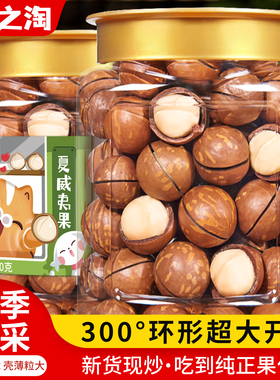 杭之淘奶香味夏威夷果新货奶油味大颗粒干果散装坚果年货零食批发