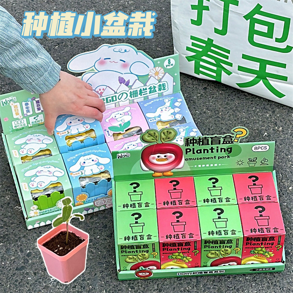 盒趣味桌面摆件学生盆栽礼物小创
