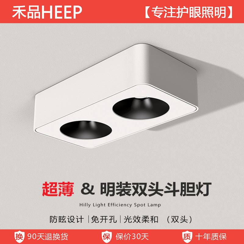 明装双头斗胆灯射灯超薄极简