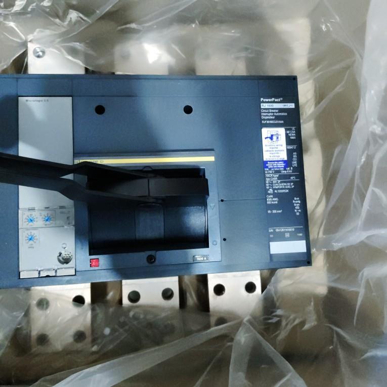 DSQUARED RJ1600 3P RJF36160CU31AAA