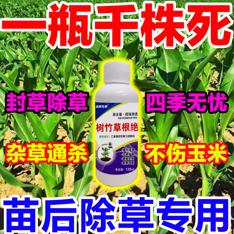 玉米地除草专用专注玉米苗后专用除草...