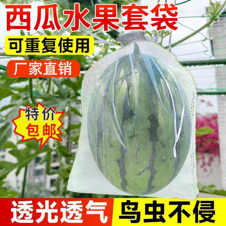 西瓜套袋防鸟防虫专用袋透气透光冬瓜水果瓜果套袋果袋防果蝇好物