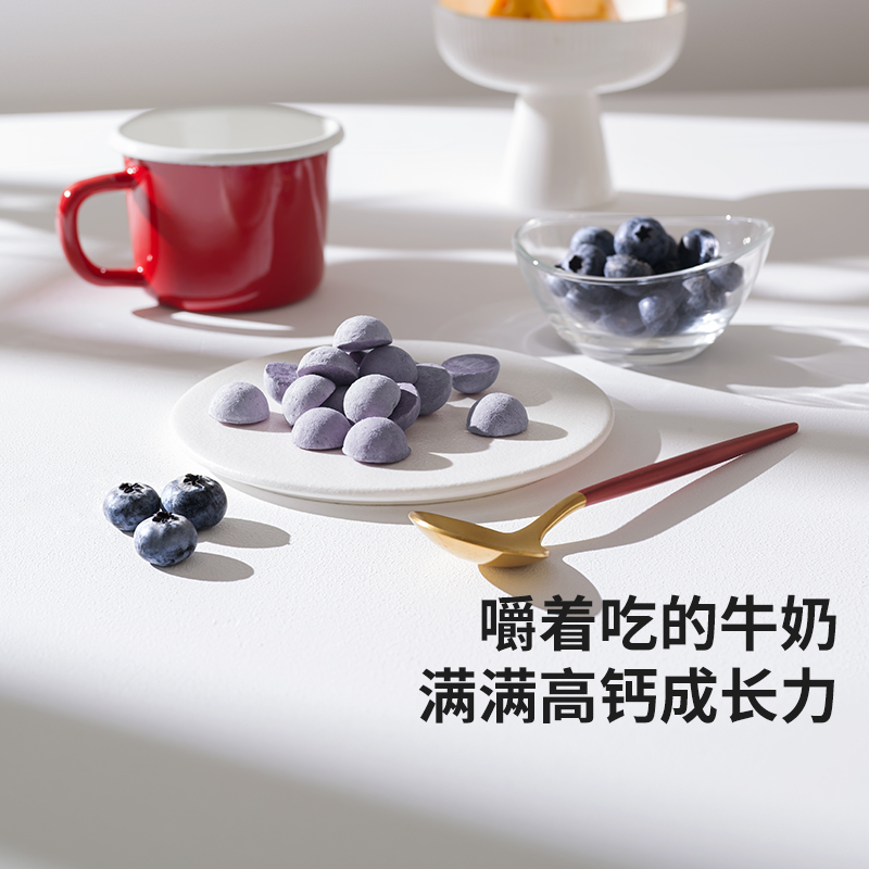 英氏忆小口儿童食品奶酪小球即食零食FD冻干蓝莓丁高钙干酪益生菌
