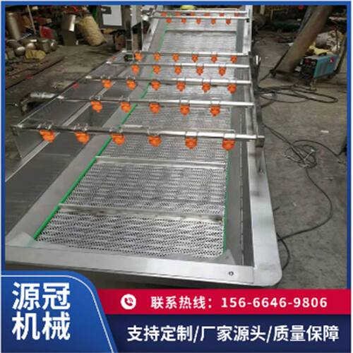 源冠 果蔬气泡清洗机 大枣高压喷淋气泡清洗设备 翻浪式洗果机