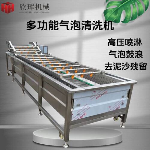 全自动果蔬气泡清洗机果蔬去泥喷淋清洗不锈钢材质商用
