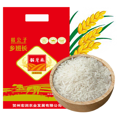 猫牙米大米长粒香米新米丝苗米