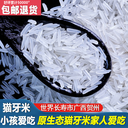 新米猫牙长粒香米煲仔饭广西