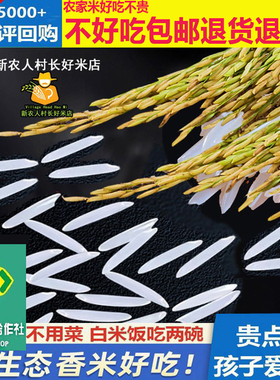 2025年原生态农家新米大米长粒香米软糯晚稻猫牙丝苗米油粘煲仔饭