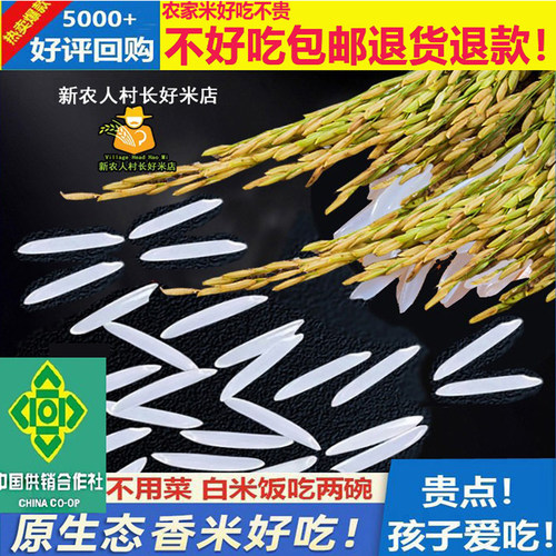 大米广西正宗猫牙长粒野香米