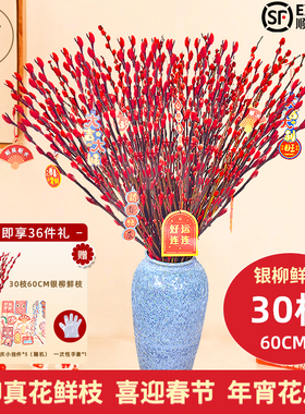 悦多彩A级招财银柳真花鲜枝年宵花卉染红色银柳花束室内客厅摆件