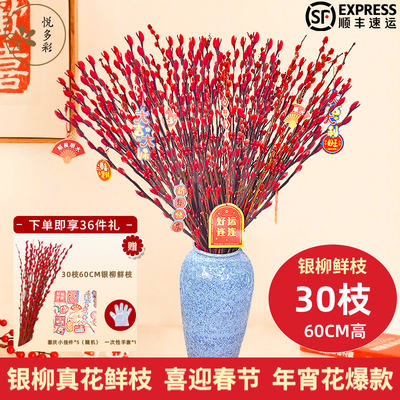 悦多彩红色银柳顺丰直发