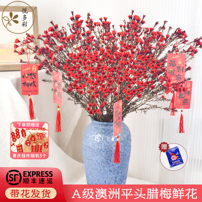 澳洲腊梅花瓶插花花束悦多彩