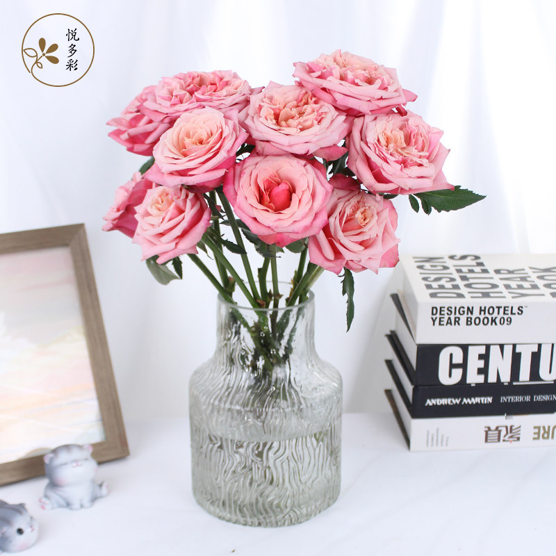 悦多彩AB级多头玫瑰花 昆明直发顺丰包邮 情人节礼物水养插鲜切花