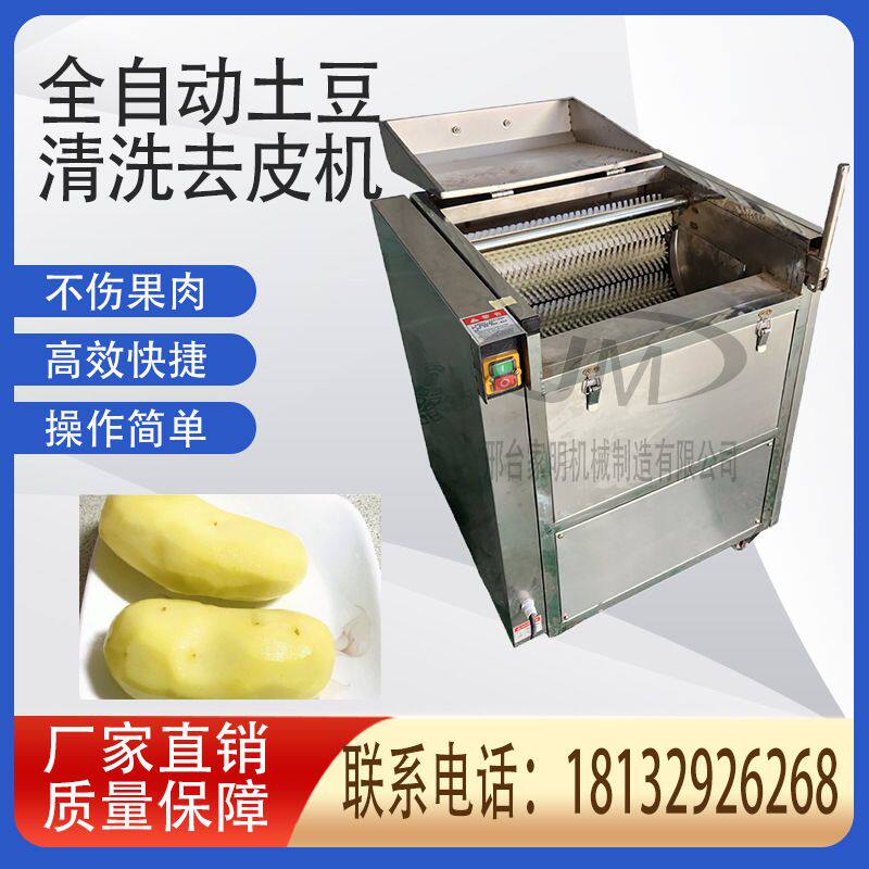 多功能土豆去皮清洗机马铃薯生蚝马蹄清洗机西红柿红薯清洗去皮机