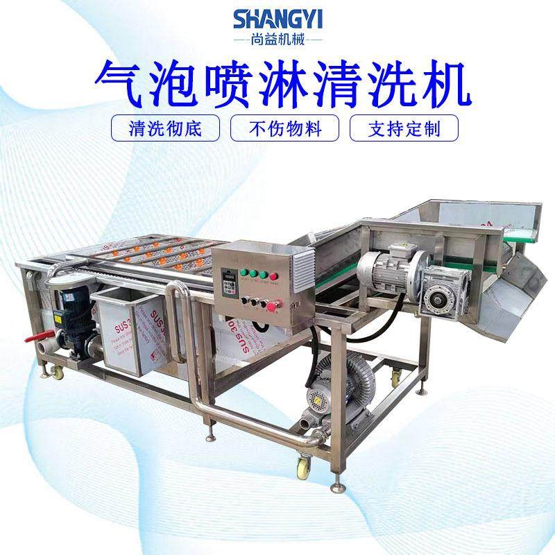 小白菜清洗机果蔬气浪洗货设备全自动油麦菜气泡清洗机,清洗/食品/商业设备,洗果机/洗菜机,淘宝优惠券,粉丝福利购,淘宝优惠卷