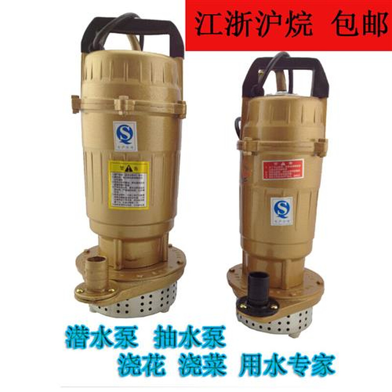 370W750W家用潜水泵抽水泵抽水机农用水泵井用户外扬程一寸220V