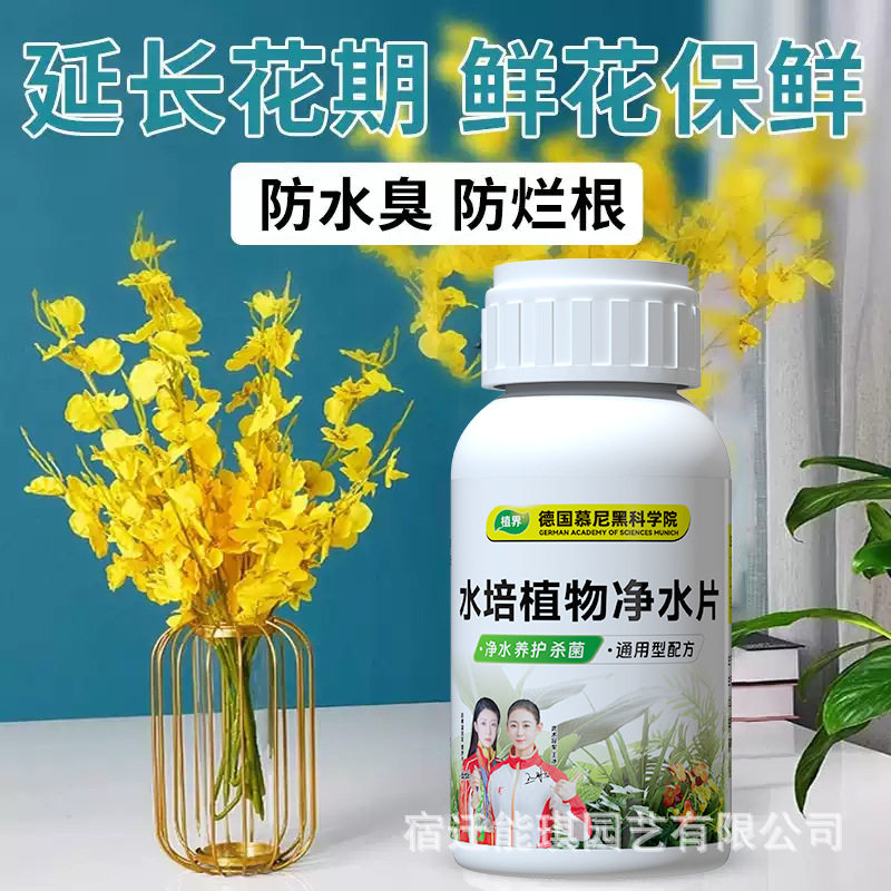 防臭净化水质净水片 家用 绿植 养花 水培植物净水片,鲜花速递/花卉仿真/绿植园艺,家庭园艺肥料,淘宝优惠券,粉丝福利购,淘宝优惠卷