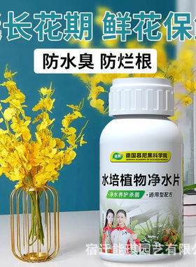 防臭净化水质净水片 家用 绿植 养花 水培植物净水片