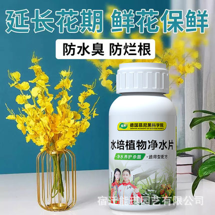防臭净化水质净水片 家用 绿植 养花 水培植物净水片