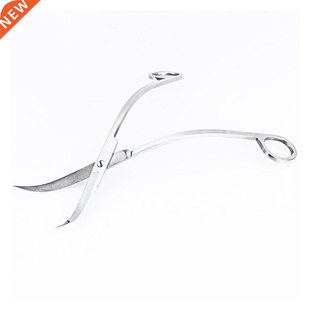 Water purification plant scissors in steel aquarium