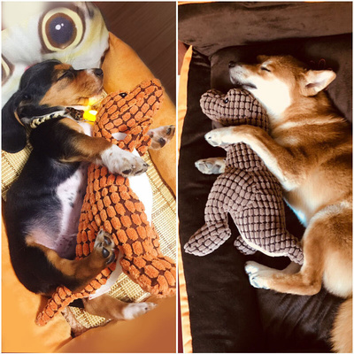 Cute Pet Dog Toys Puppy Chew Squeaker Toy for Small Large跨1