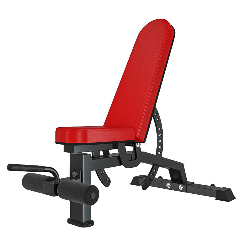 MIYAUP-Multifunctional Training Bird Chair Adjustable