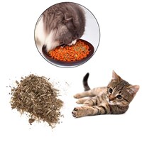 nip Powder Mint Natural Kitten Health Care Organic Pe