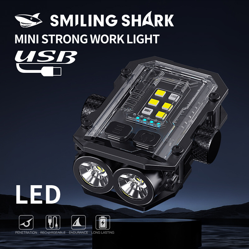 Outdoor emergency multi-function work inspection light