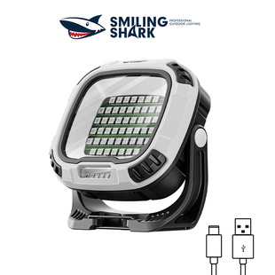 Outdoor multi-light source shooting fill light work light