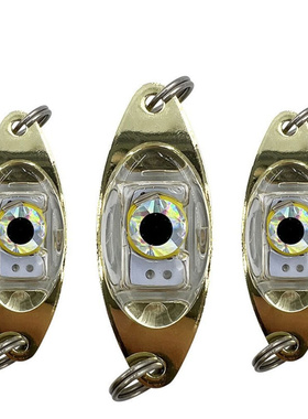 Eye Shape LED Lure Light Glowing Fishing Lures Attracting