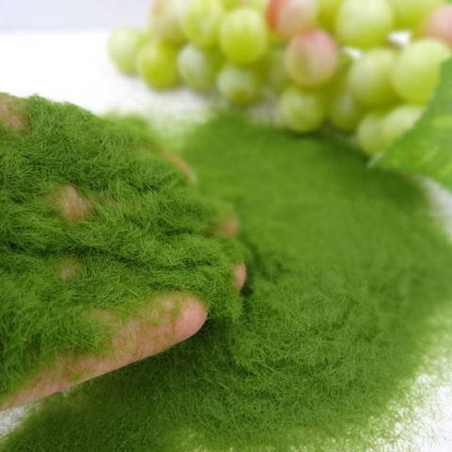 35g/Bag Building Model Material Craft Home Artificial Grass