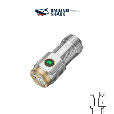 Mini fixed focus high brightness three-lamp flashlight