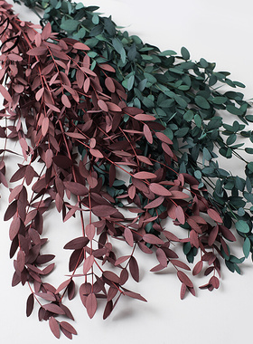 100g Eucalyptus Leaves Bouquet Natural Preserved Dried