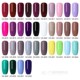 one Pen Varnish gel Glitter step Nail DIARY NICOLE