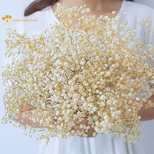 100g Natural Dried Flowers Baby Breath Flowers Bouquets