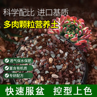 多肉专用颗粒土多肉营养土种植土疏松透气有机发根土控型上色铺面