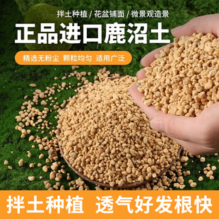 进口鹿沼土硬质颗粒杜鹃月季兰花多肉专用土整包大包装拌土铺面石