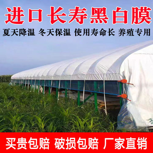 加厚黑白膜养殖防晒降温隔热