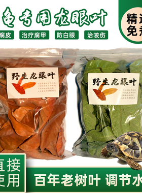 龙眼叶养龟治疗腐皮乌龟造景水族红色桂圆树叶子调节改善水质免煮