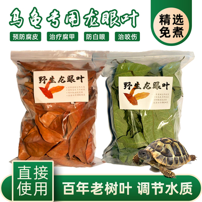 龙眼叶养龟治疗腐皮乌龟造景水族红色桂圆树叶子调节改善水质免煮