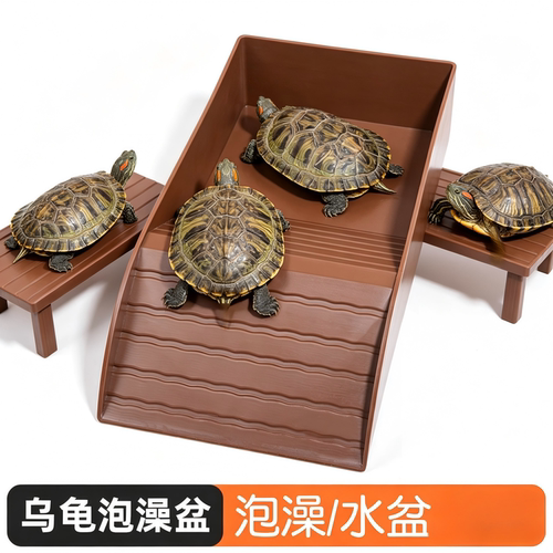 方形简约乌龟洗澡盆加高内外爬梯陆龟泡澡盆水食两用盆造景用品