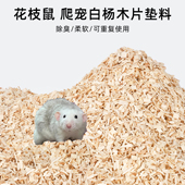 爬宠宠物蛇垫材白杨木片玩具蛇蛇类饲养箱专用垫材柔软吸湿无尘