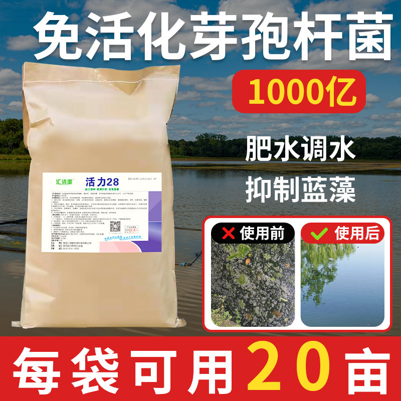 免活化复合芽孢杆菌水产养殖专用净化降亚硝酸盐鱼虾蟹养殖调肥水