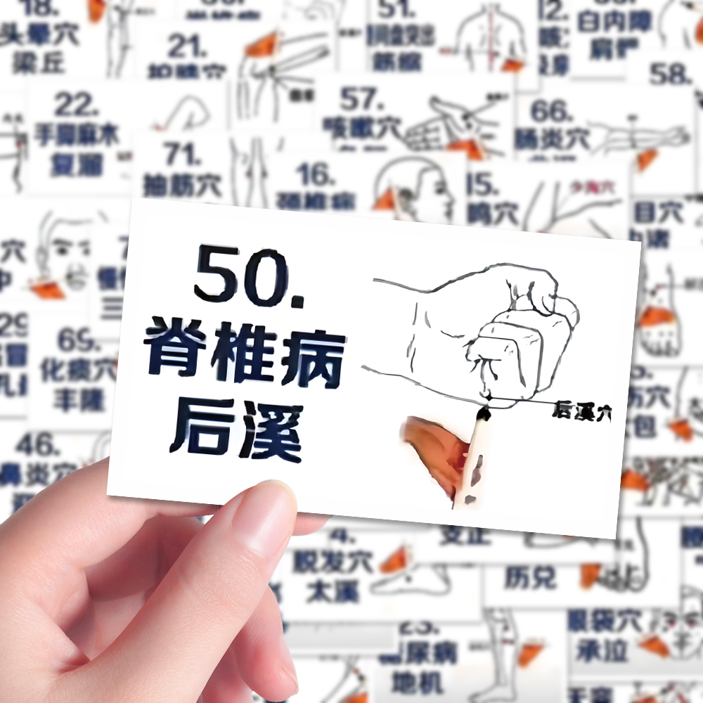 144张基本穴位贴纸中医人体穴道参考学习diy笔记本iPad贴画防水