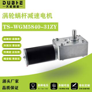 5840-31ZY涡轮蜗杆直流减速电机12v24调速自锁齿轮大扭矩双轴马达