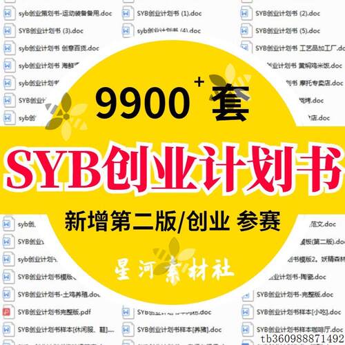 SYB创新创业计划书word模板项目范文大学生商业路演大赛融资PPT