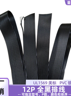 12P黑色排线 镀锡铜UL1569全黑并线28AWG智能电器电源延长线直销
